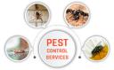 Pest Control Hobart logo